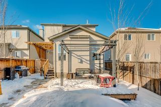 Photo 6: 617 Morningside Park SW: Airdrie Detached for sale : MLS®# A2031966