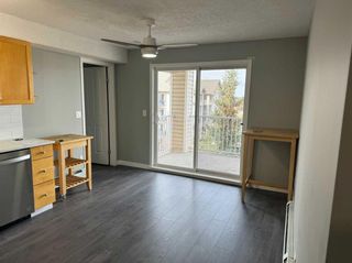 Photo 11: 423 1717 60 Street SE in Calgary: Red Carpet Apartment for sale : MLS®# A2124090