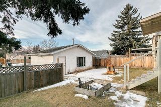 Photo 20: 3024 32A Street SE in Calgary: Dover Detached for sale : MLS®# A1175138