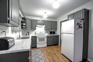Photo 8: 33 Erickson Drive: Red Deer Detached for sale : MLS®# A2012908