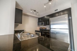 Photo 5: 407 7110 80 Avenue NE in Calgary: Saddle Ridge Apartment for sale : MLS®# A2044289