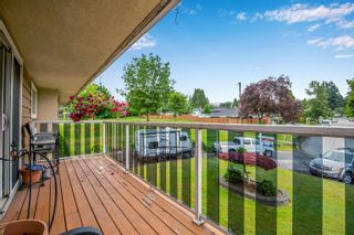 Photo 34: 10962 JAY Crescent in Surrey: Bolivar Heights House for sale in "birdland" (North Surrey)  : MLS®# R2709468