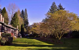 Photo 2: 206 555 W 28TH Street in North Vancouver: Upper Lonsdale Condo for sale in "Cedar Brooke Village Gardens" : MLS®# R2555478