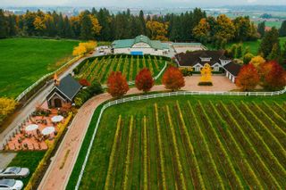 Photo 2: 5290 OLUND Road in Abbotsford: Bradner Agri-Business for sale in "Winery and Estate House" : MLS®# C8048539