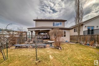 Photo 48: 4606 160 Avenue NW in Edmonton: Zone 03 House for sale : MLS®# E4384051