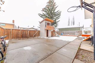 Photo 35: 4720 60 Street NE in Calgary: Temple Detached for sale : MLS®# A2123494