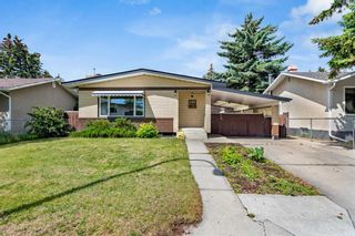 Photo 1: 2215 Vista Crescent NE in Calgary: Vista Heights Detached for sale : MLS®# A2059424
