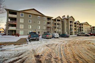 Photo 3: 2311 604 8 Street SW: Airdrie Apartment for sale : MLS®# A1188714