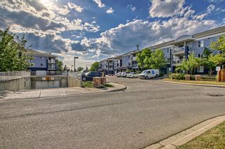 Photo 46: 1215 2280 68 Street NE in Calgary: Monterey Park Apartment for sale : MLS®# A2054328