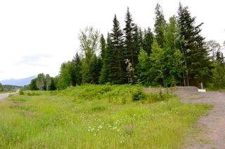 Photo 3: DL 1335A 37 Highway: Kitwanga Land for sale (Smithers And Area (Zone 54))  : MLS®# R2471833