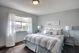 Photo 19: 127 Chapman Circle SE in Calgary: Chaparral Detached for sale : MLS®# A1110605