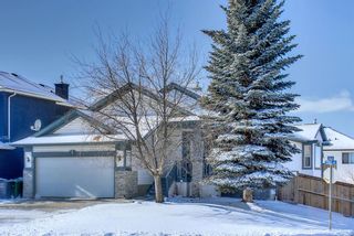Photo 50: 123 COVE Drive: Chestermere Detached for sale : MLS®# A1184904