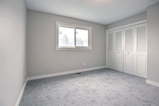 Photo 24: 260 Abadan Place NE in Calgary: Abbeydale Detached for sale : MLS®# A1251427