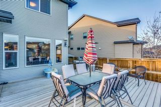 Photo 43: 79 SAGE BERRY PL NW in Calgary: Sage Hill House for sale : MLS®# C4142954