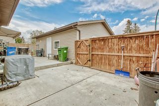 Photo 31: 207 Whitaker Close NE in Calgary: Whitehorn Detached for sale : MLS®# A2047027