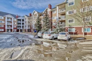 Photo 38: 1420 10 Prestwick Bay SE in Calgary: McKenzie Towne Apartment for sale : MLS®# A2025204