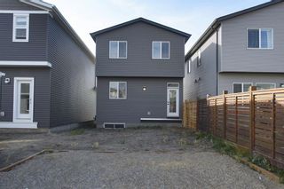 Photo 29: 190 Livingston Avenue NE in Calgary: Livingston Detached for sale : MLS®# A1036340