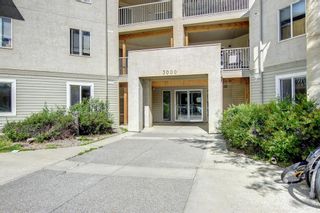 Photo 1: 320 3000 Citadel Meadow Point NW in Calgary: Citadel Apartment for sale : MLS®# A1244571