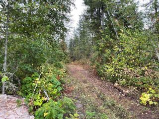 Photo 14: 292 Terry Road, in Enderby: Vacant Land for sale : MLS®# 10239679