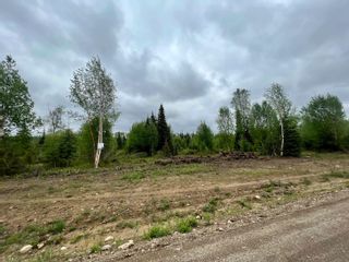 Photo 4: DL 13174 GAGNON SUBD Street in Mackenzie: Mackenzie -Town Land for sale in "GAGNON SUBDIVISION" : MLS®# R2754950