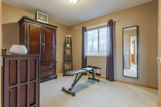 Photo 29: 238 Chaparral Court SE in Calgary: Chaparral Detached for sale : MLS®# A1096011