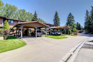 Photo 31: 53 10910 Bonaventure Drive SE in Calgary: Willow Park Row/Townhouse for sale : MLS®# A1244202