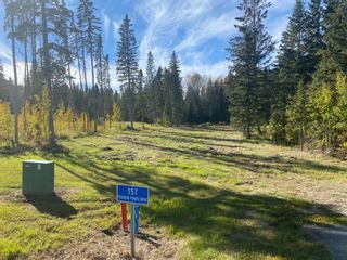 Photo 1: 157 Meadow Ponds Drive: Rural Clearwater County Residential Land for sale : MLS®# A1259230