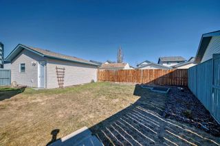 Photo 28: 139 Mt Apex Crescent SE in Calgary: McKenzie Lake Detached for sale : MLS®# A2124862
