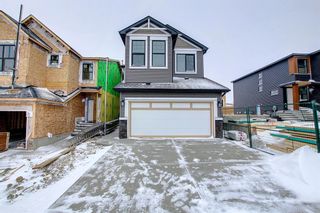 Photo 50: 121 EDITH Villas NW in Calgary: C-473 Detached for sale : MLS®# A2011554