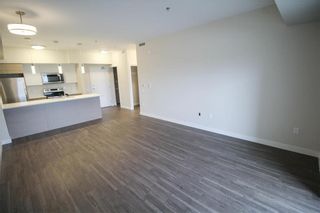 Photo 28: 303 70 Philip Lee Drive in Winnipeg: Crocus Meadows Condominium for sale (3K)  : MLS®# 202212043