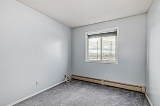 Photo 28: 208 1208 Valleyview Park SE in Calgary: Dover Apartment for sale : MLS®# A2021381