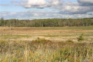 Photo 8: Lot 19 Con 2 in Amaranth: Rural Amaranth Property for sale : MLS®# X4235429