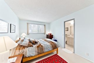 Photo 20: 19 Pinebrook Place NE in Calgary: Pineridge Detached for sale : MLS®# A1077648