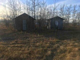 Photo 19: 6516 GOLATA CREEK Road in Fort St. John: Fort St. John - Rural E 100th Manufactured Home for sale in "CLAYHURST" (Fort St. John (Zone 60))  : MLS®# R2415721