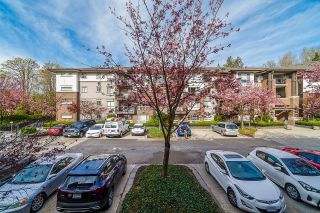 Photo 23: 205 11667 HANEY BYPASS in Maple Ridge: West Central Condo for sale : MLS®# R2678510