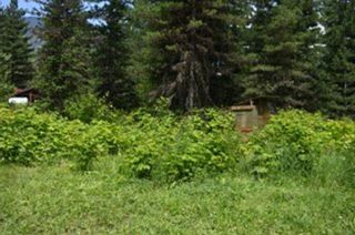 Photo 13: 206 ISLAND VIEW ROAD in Nakusp: Vacant Land for sale : MLS®# 2475414