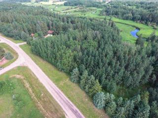 Photo 16: Pinebrook Block 1 Lot 2: Rural Thorhild County Rural Land/Vacant Lot for sale : MLS®# E4171871