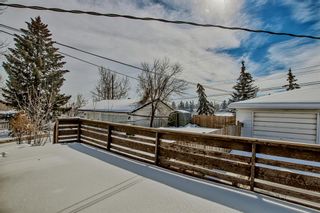 Photo 14: 531 Thornhill Drive NW in Calgary: Thorncliffe Detached for sale : MLS®# A2031837