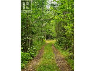 Photo 18: 712 Grange Road in Enderby: Vacant Land for sale : MLS®# 10310045
