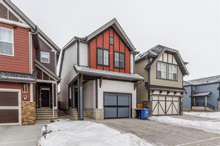 Photo 32: 25 Masters Row SE in Calgary: Mahogany Detached for sale : MLS®# A1063577