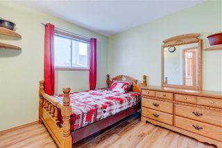 Photo 21: 223 Craigmohr Drive in Winnipeg: Richmond West Residential for sale (1S)  : MLS®# 202205345