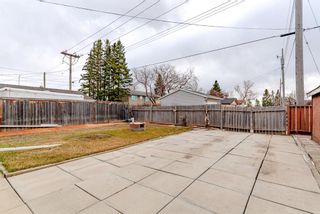 Photo 40: 6835 4 Avenue SE in Calgary: Penbrooke Meadows Detached for sale : MLS®# A1204447