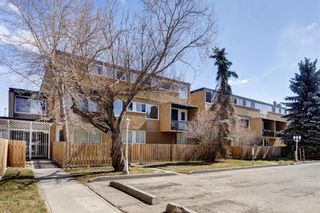 Photo 22: 221 7007 4A Street SW in Calgary: Kingsland Apartment for sale : MLS®# A2028963