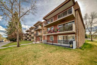 Photo 1: 88E 231 Heritage Drive SE in Calgary: Acadia Apartment for sale : MLS®# A2132710