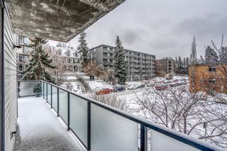 Photo 22: 306 1732 9A Street SW in Calgary: Lower Mount Royal Apartment for sale : MLS®# A2117753