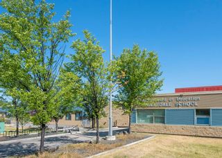 Photo 38: 297 Douglas Ridge Circle SE in Calgary: Douglasdale/Glen Detached for sale : MLS®# A1234708