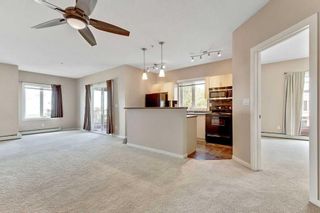 Photo 3: EAST LAKE INDUSTRIAL: Airdrie Apartment for sale
