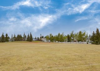 Photo 41: 31 Riverside Close SE in Calgary: Riverbend Detached for sale : MLS®# A1250578