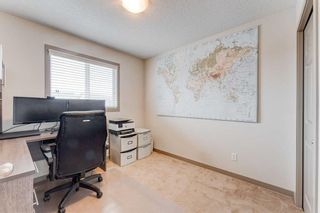 Photo 30: 2 Skyview Springs Rise NE in Calgary: Skyview Ranch Detached for sale : MLS®# A2129539