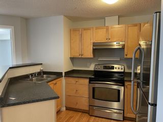 Photo 5: 3216 10 Prestwick Bay SE in Calgary: McKenzie Towne Apartment for sale : MLS®# A1255172